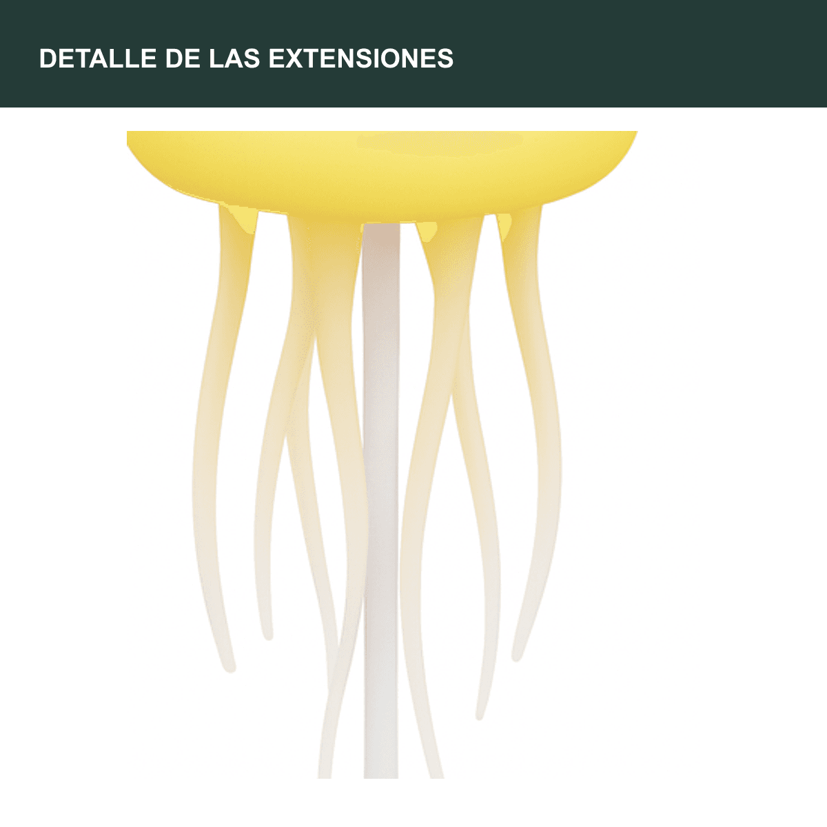 codex-gallery:2026-10-06:batch-fiveimage-002:fca48067-f6d1-4d21-bc75-28f57dff6649:detalle-macro-extensiones:sha256:91d00e8460a668054a06d4d25bc9b6906d64c55fb357f74a47d388ffde5df7be